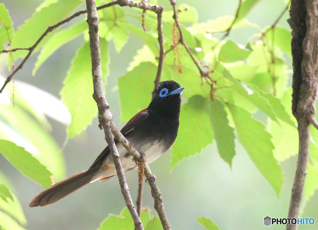 若いお父さん⑤
