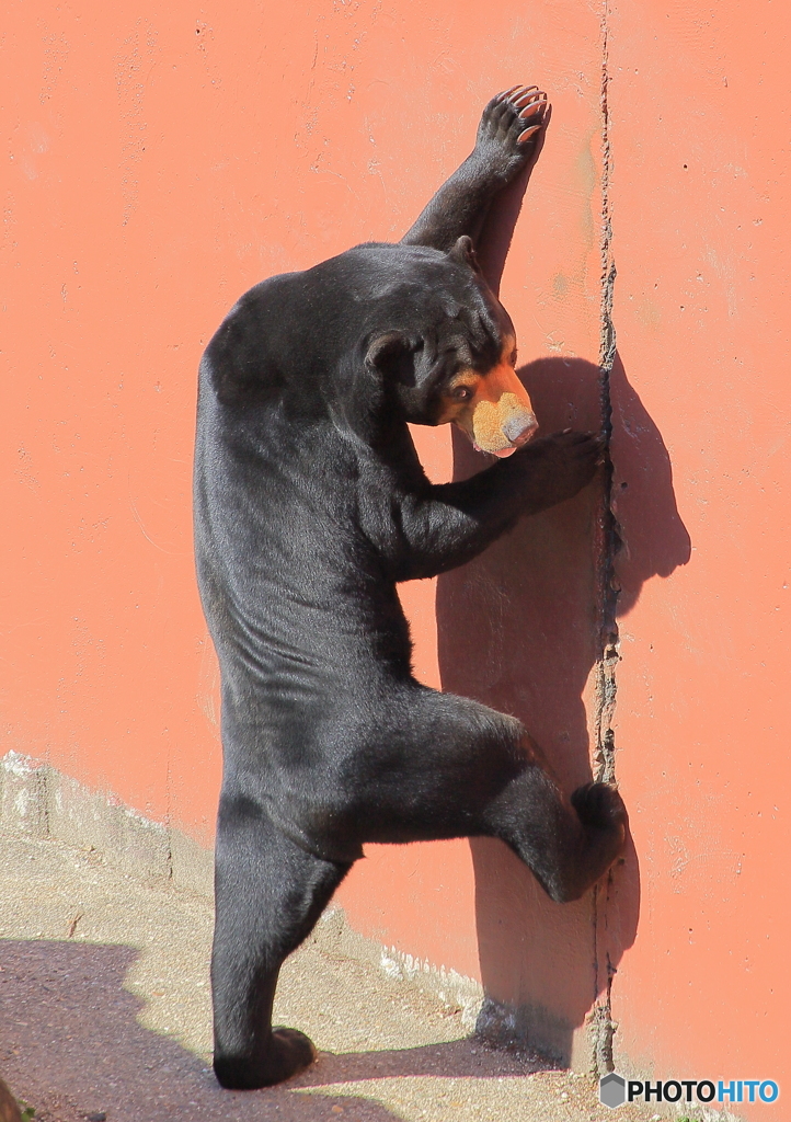 いまだ諦めきれず(^_^;)