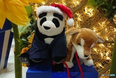 西郷どん？(^_^;)