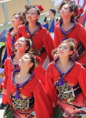 名古屋ど真ん中祭り2017⑫