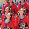 名古屋ど真ん中祭り2017⑫