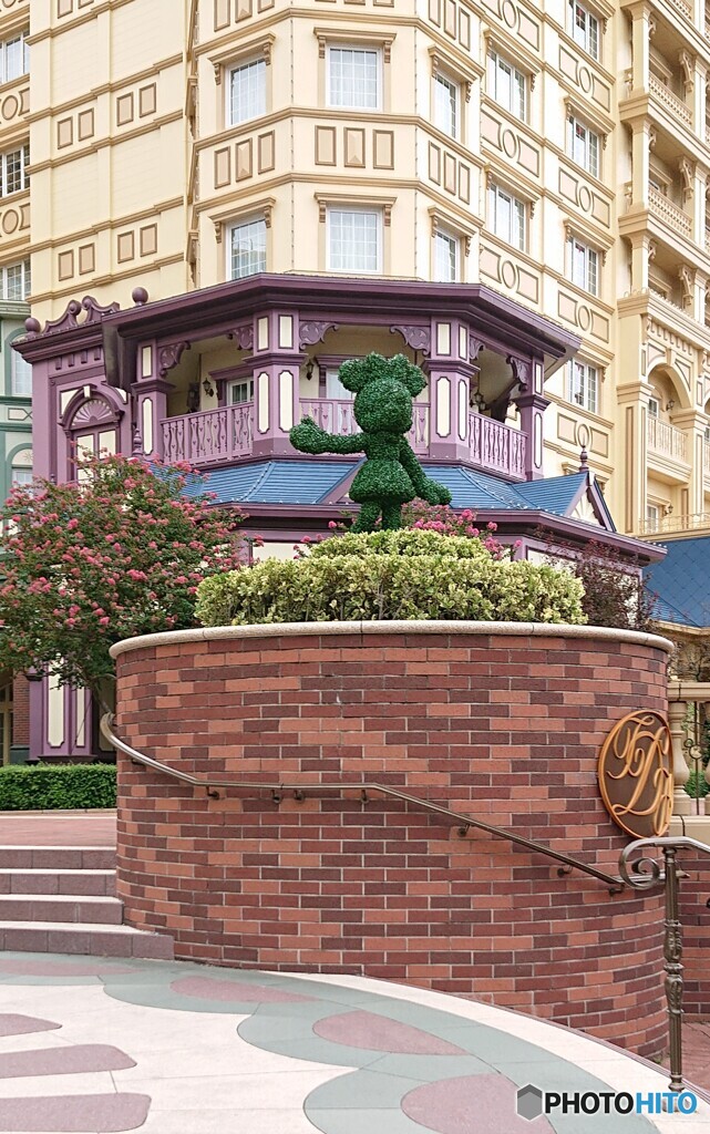 刈り込まれたミニー