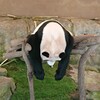 電源オフのパンダさん(^_^;)