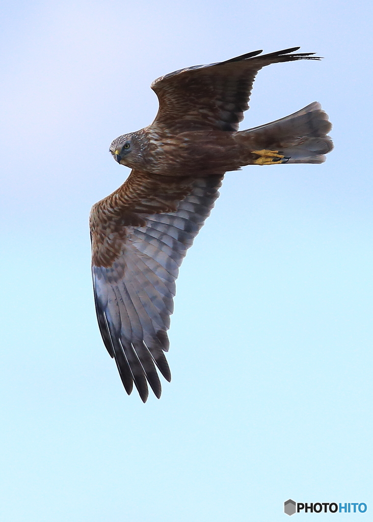 カメラ目線で通過