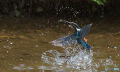久しぶりの「浮上！」