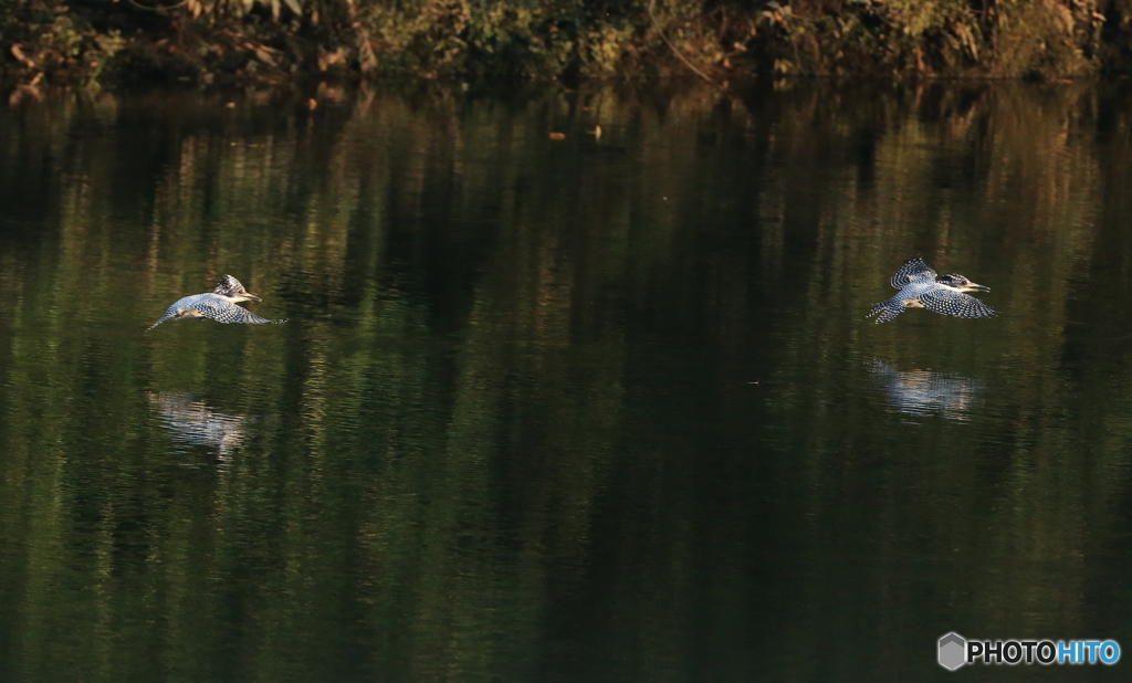 「こら、待てぇ～」「オホホ、捕まえてごらんなさ～い」