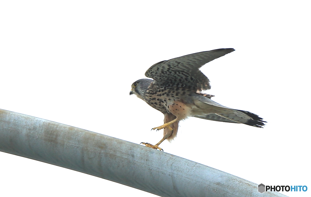 タッチダウン