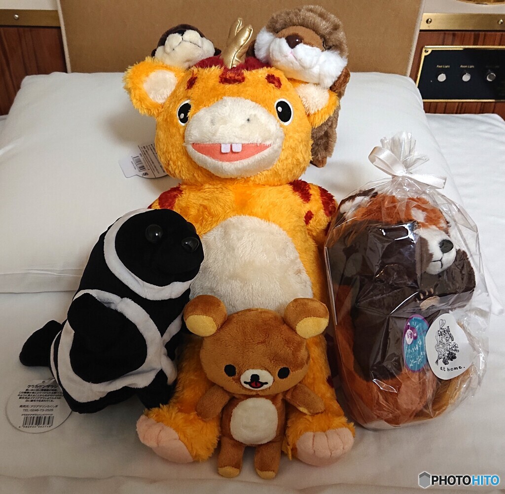 増殖する旅のお供