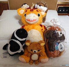 増殖する旅のお供