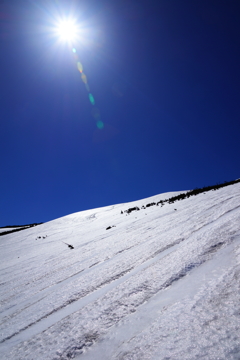 初夏の至仏山