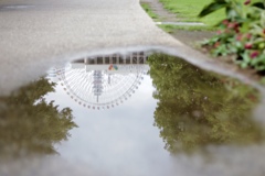 雨上がり