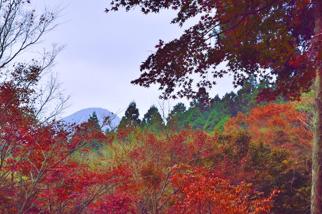 紅葉狩り3