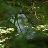 清流2
