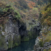 カモの散歩道