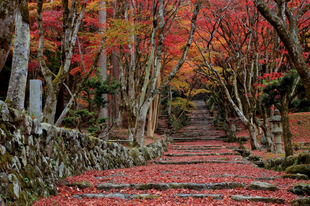 鶏足寺