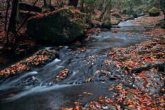 秋が流れゆく渓　～るり渓の秋Ⅳ～