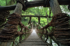 橋の向こうへ　　～祖谷のかずら橋Ⅰ～