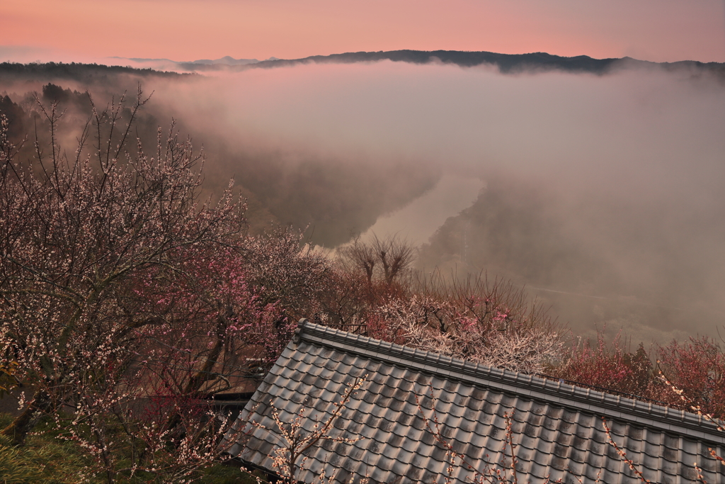 雲海を纏う