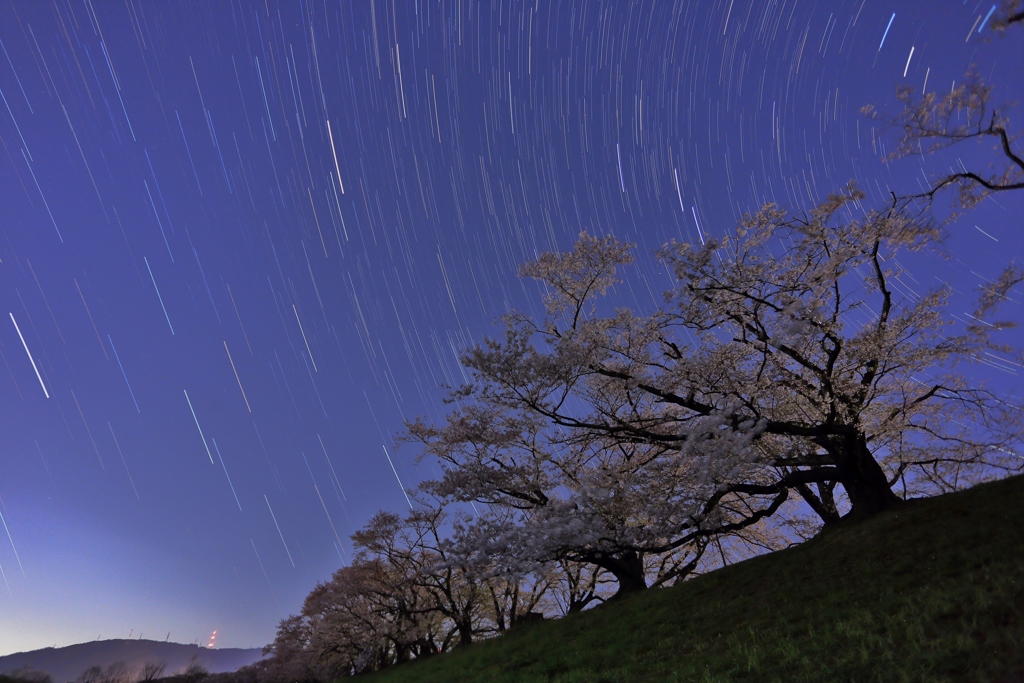 背割堤夜空Ⅱ