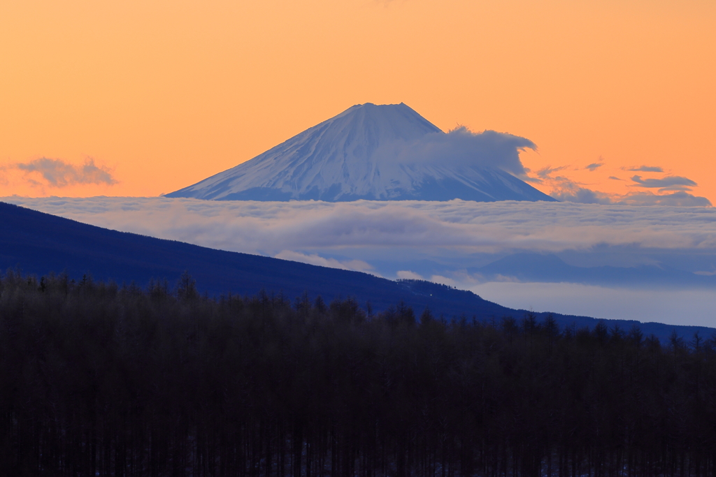 富士山と雲海