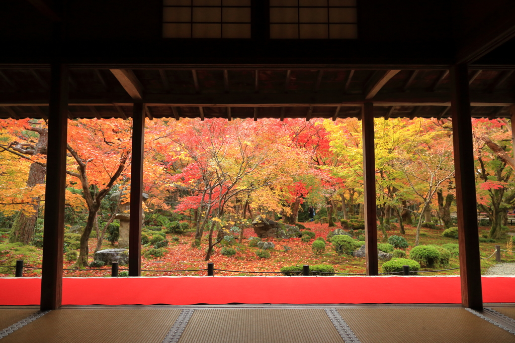 圓光寺