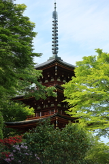 岡寺　三重宝塔