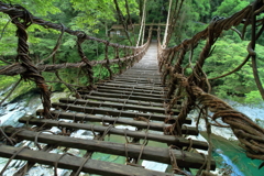 希望への架け橋　　～祖谷のかずら橋Ⅲ～