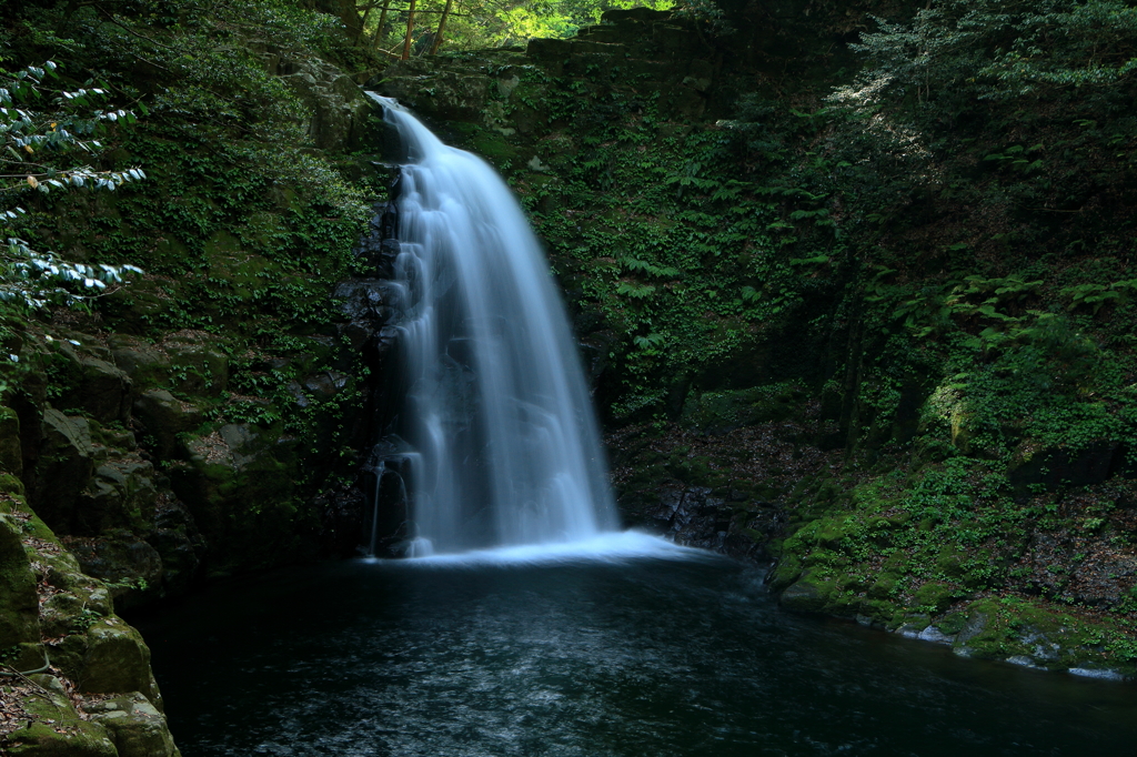 赤目五瀑 不動滝（ふどうだき）