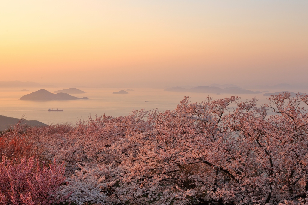 瀬戸内春景