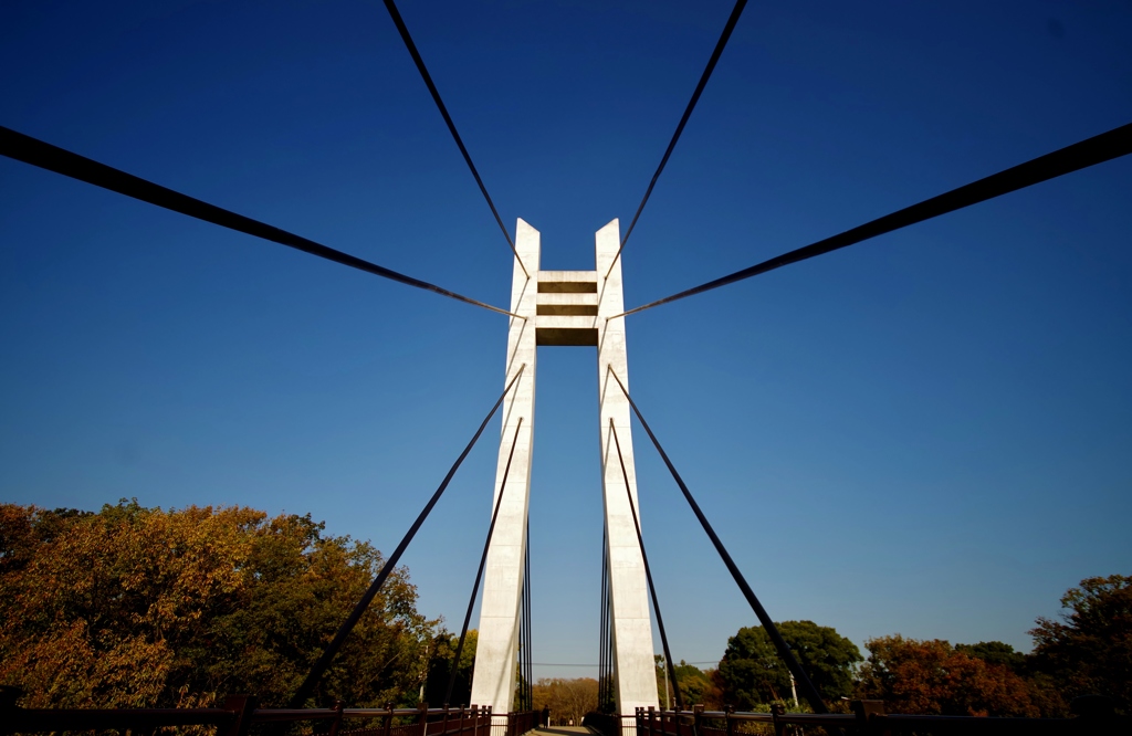 山田池美月橋　～枚方市山田池公園～