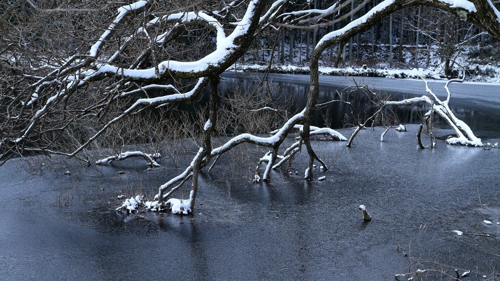 宇陀・龍王ヶ淵冬景