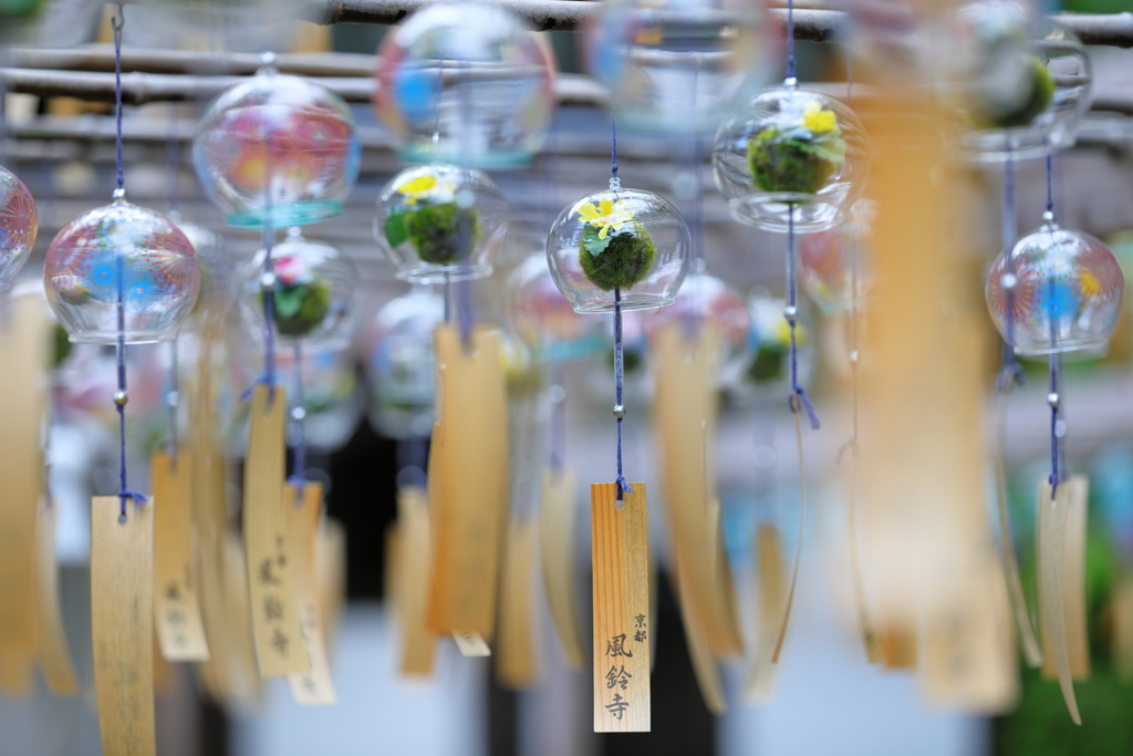 納涼Ⅰ～正寿院「風鈴祭り」～