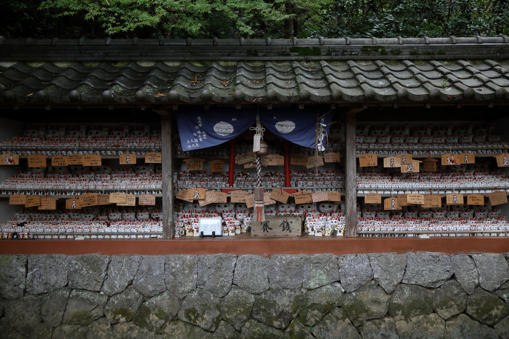 ネコだらけの神社　～お松大権現Ⅱ～