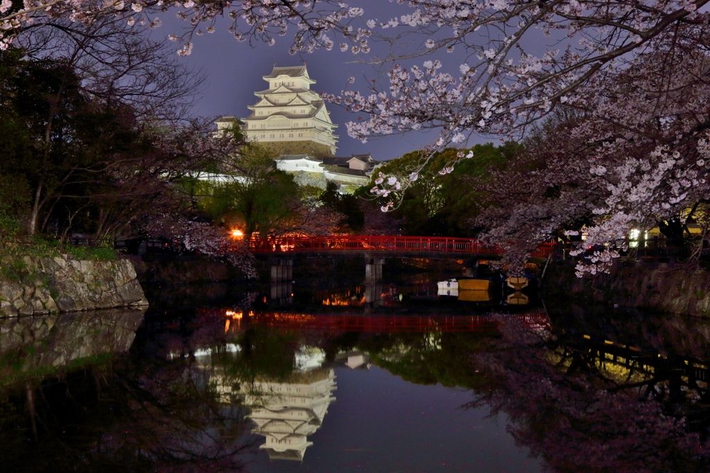 春夜の姫路城