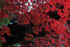 龍穏寺山門Ⅰ