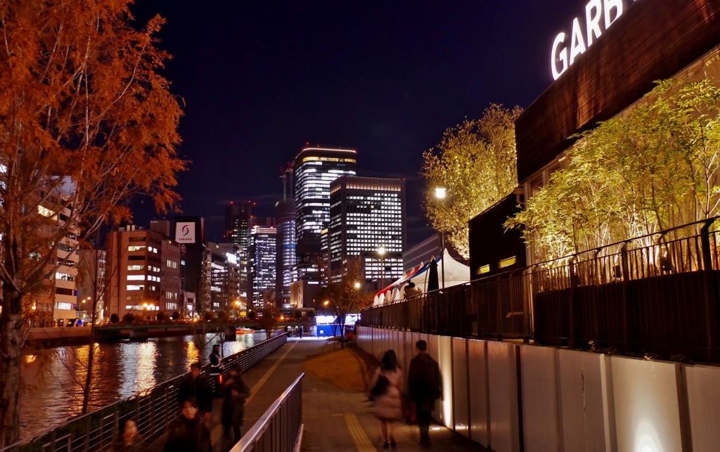 通勤夜景　～中之島公園をぶらり～