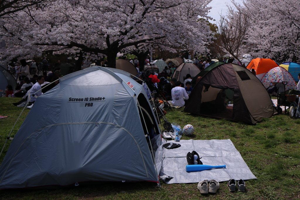 花民キャンプ