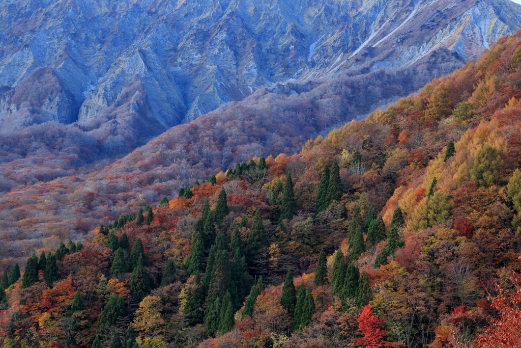 真実　～大山の紅葉～