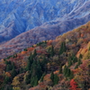 真実　～大山の紅葉～