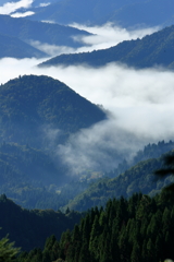 小入峠の雲海