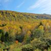 Gold Mountain