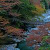 祖谷のかずら橋