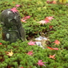 秋の髪飾り　～圓光寺Ⅴ～