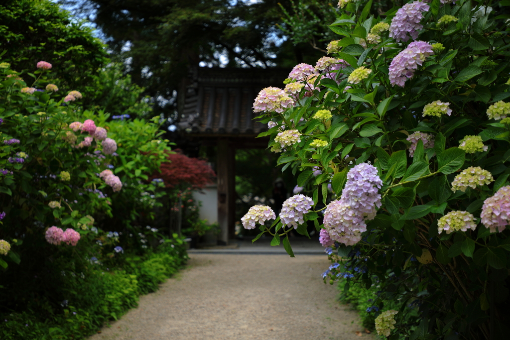 山門を彩る