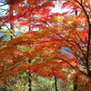 Beautiful JAPANⅢ　～吉野、高城山より～