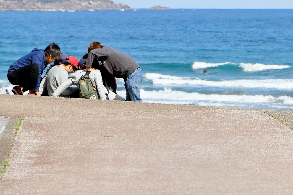 何に夢中？　～海スナップ、生見海岸～