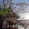 京春