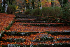 古刹の秋Ⅲ　～丹波、高源寺より～