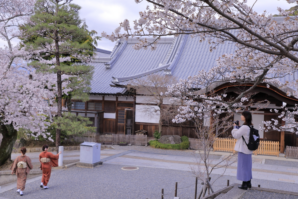 ほのぼの都スナップⅠ