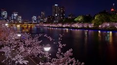 通勤夜景　～天満橋からの夜桜～